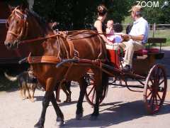 picture of Ecurie "Les Graviers"