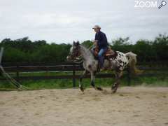 photo de Equitation western et camping dans un Ranch