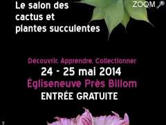 photo de Couleurs Cactus Club Clermont-Ferrand-Salon des cactus, succulentes et plantes adaptées à la sécheresse 7ème édition les 24 et 25 mai 2014